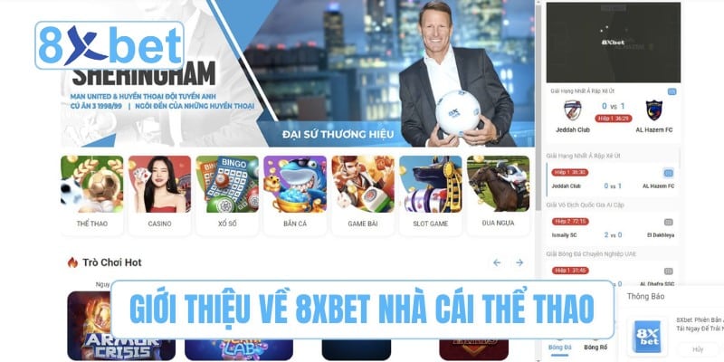 Giới thiệu chung về 8XBET nhà cái thể thao